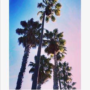 Meet your Posher, Tania